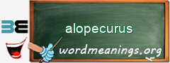 WordMeaning blackboard for alopecurus